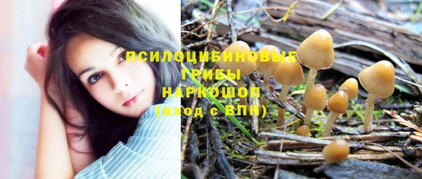 кокс Алзамай