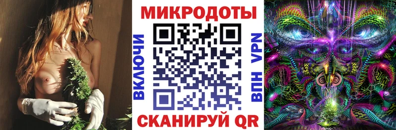 Галлюциногенные грибы Psilocybine cubensis Снежногорск